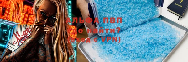 стафф Аркадак