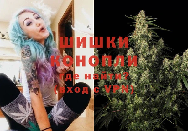 стафф Аркадак