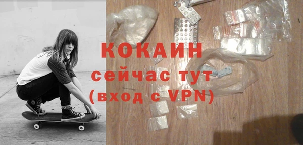 стафф Аркадак