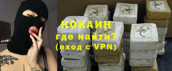 стафф Аркадак