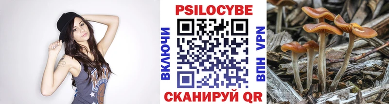 площадка Telegram  мега как войти  Суоярви  закладки  Псилоцибиновые грибы MAGIC MUSHROOMS 